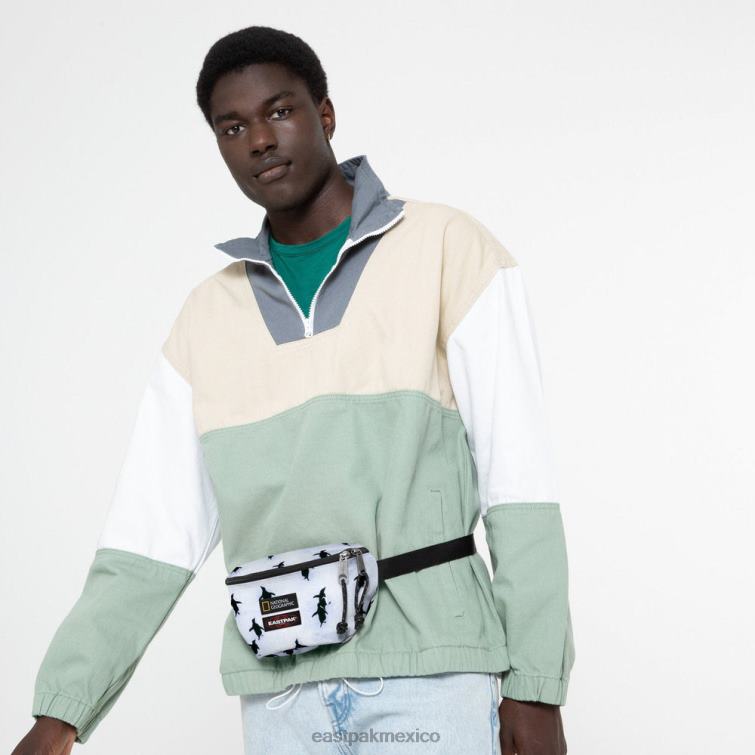 Eastpak saltador ng peng uin 828F6271 bolsas de hombro