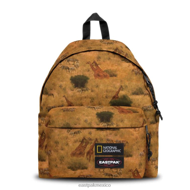 Eastpak pak'r acolchado jirafa 828F620 mochilas