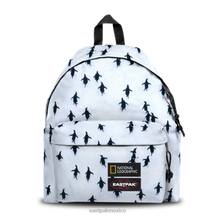 Eastpak pak'r acolchado ng peng uin 828F67 mochilas