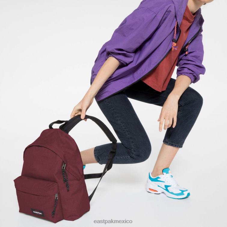 Eastpak pak'r acolchado vino astuto 828F6102 mochilas